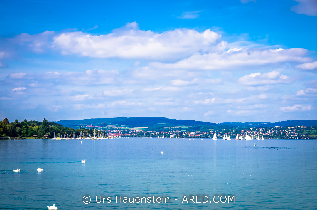 Photoss from the Flower Island of Mainau in Lake Constance